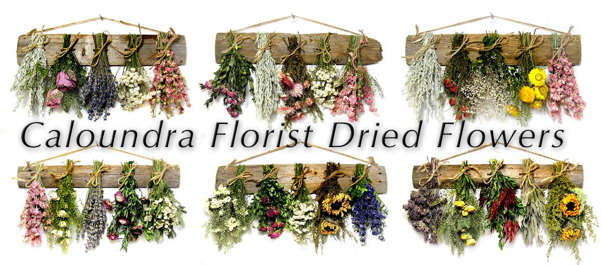 SELECT FLOWERS CALOUNDRA FLORIST DRIED FLOWERS