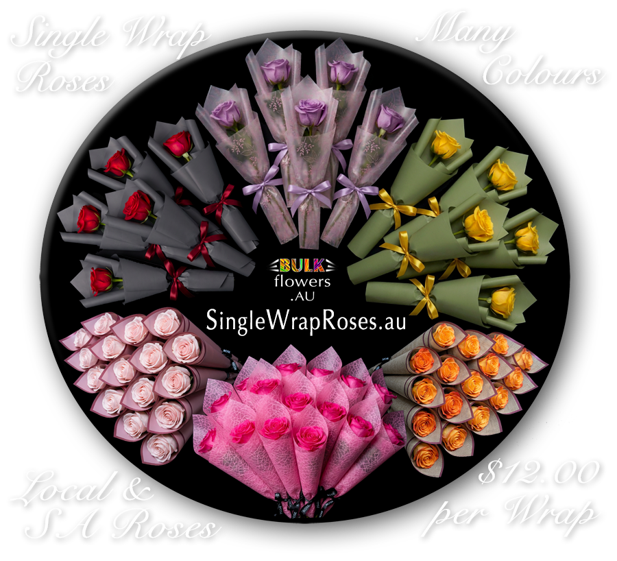 BULK FLOWERS SINGLE WRAP ROSES